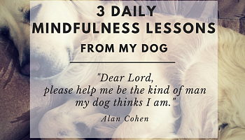 3 Daily Mindfulness Lessons From My Dog